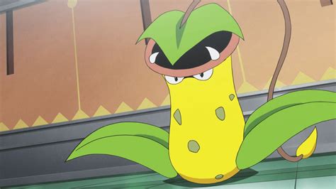 is victreebel good.